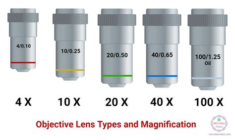 magnification of oio|Objective Lenses: Types, Parts, Magnification, Uses, Care.